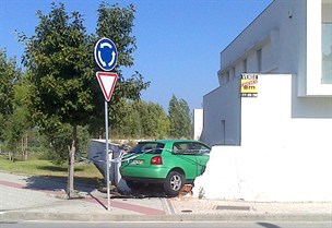 Carro no jardim 01.jpg